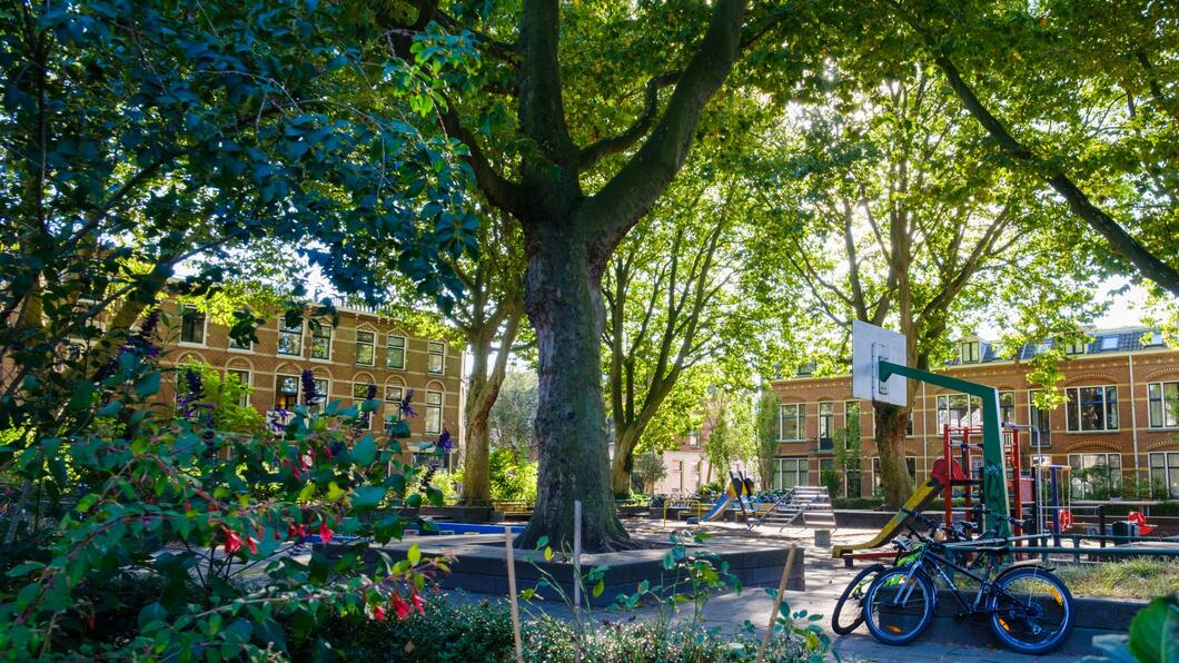 Groen in de wijk
